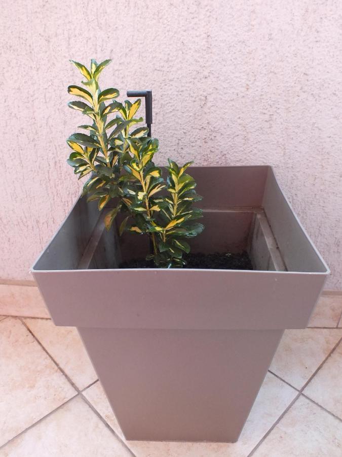 Apartment Temple Podgorica Ngoại thất bức ảnh